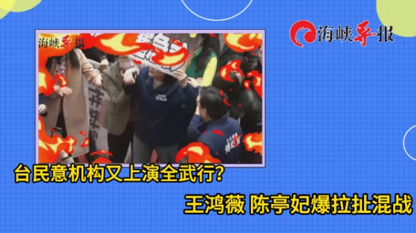 蓝绿冲突！台民意机构又上演全武行，王鸿薇陈亭妃爆拉扯混战