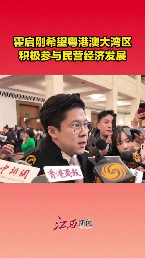 霍启刚希望粤港澳大湾区积极参与民营经济发展