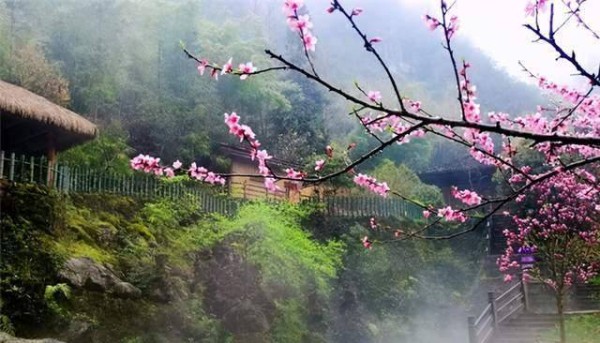 道士与女弟子隐居山林8年，不顾反对坚持生娃，如今母亲已认不出