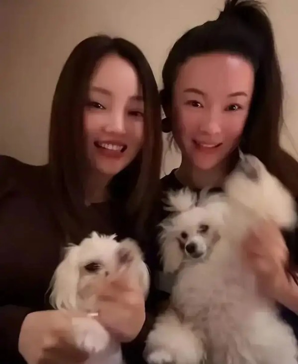 霍思燕李小璐老友相聚感情好 抱小狗跳舞笑容灿烂