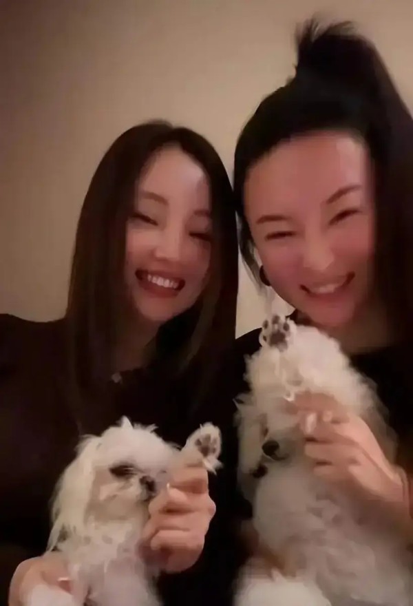 霍思燕李小璐老友相聚感情好 抱小狗跳舞笑容灿烂