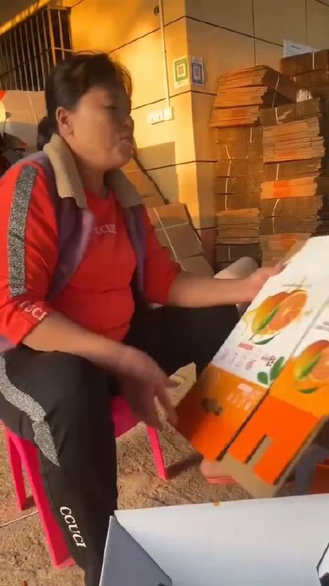 你们看看全红婵妈妈和哥哥当初的对话,多么心酸,当时也想盖房子但没有地