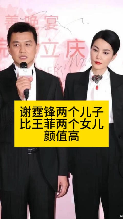 谢霆锋两个儿子，比王菲两个女儿颜值高谢霆锋儿子颜值热点观点