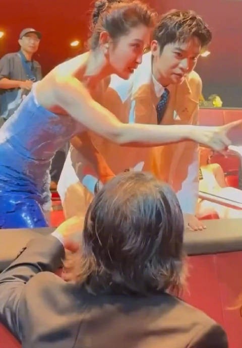 李冰冰介绍于适:咱家的骄傲,咱们内地的骄傲