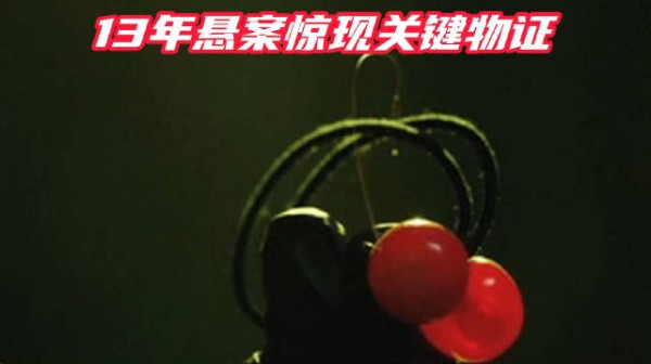 樱桃头饰暗藏夺命密码!13年悬案惊现关键物证湖南经视黄金剧场 #好片推荐