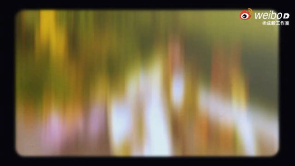 聚焦真挚,相映自得,雕琢生长、邂逅温柔