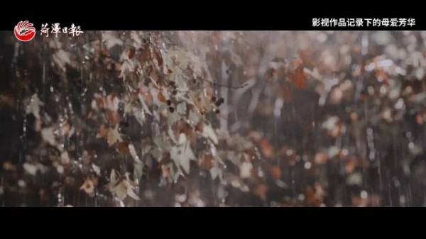 影视作品记录下的母爱芳华，每一帧都诉说着人间深情