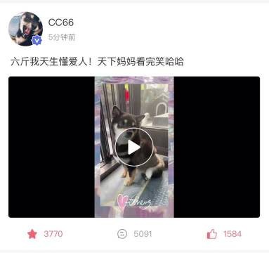 马嘉祺5.11高会更新六斤的麻麻是我们对吗？