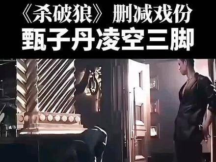 甄子丹的电影经典片段展示