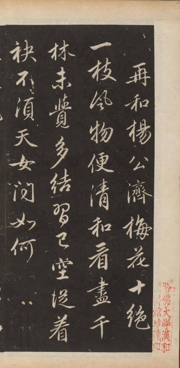 当代书法家江涵之赏析：赵孟頫《梅花诗》