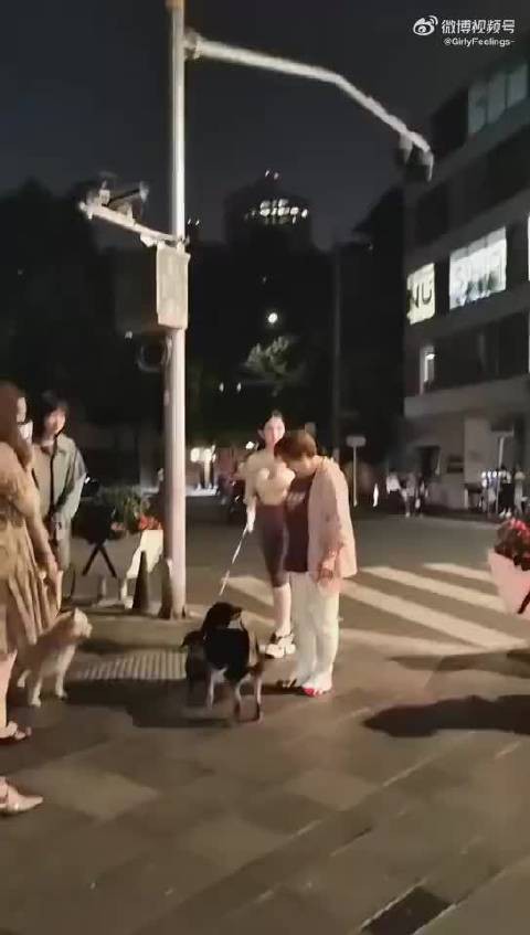 有懂狗的吗?这女孩牵的什么品种宠物狗?