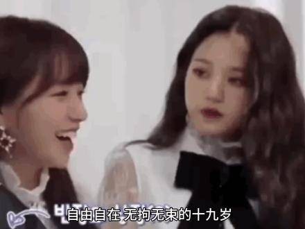 当代 kpop 现状