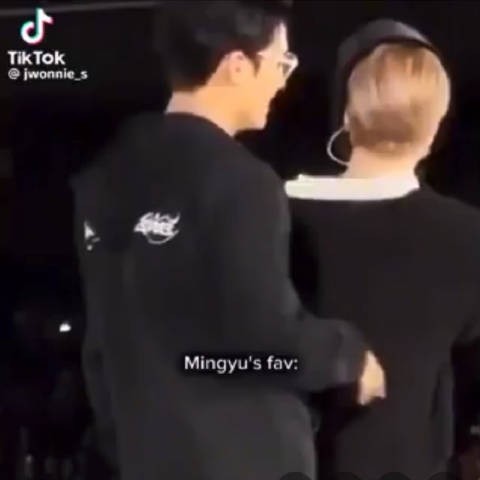 很喜欢摸猫咪的一只小狗 Cr.jwonnie_s