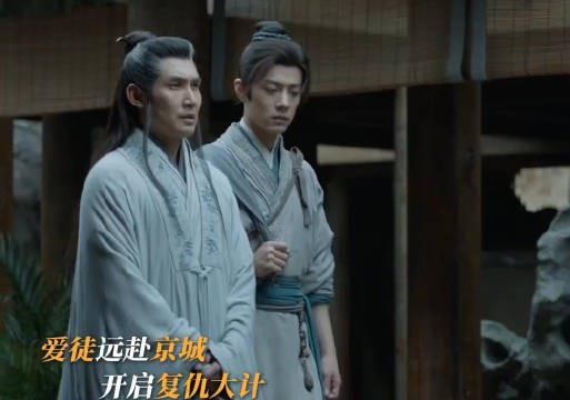 星斗大师为藏海抹去痕迹助其复仇