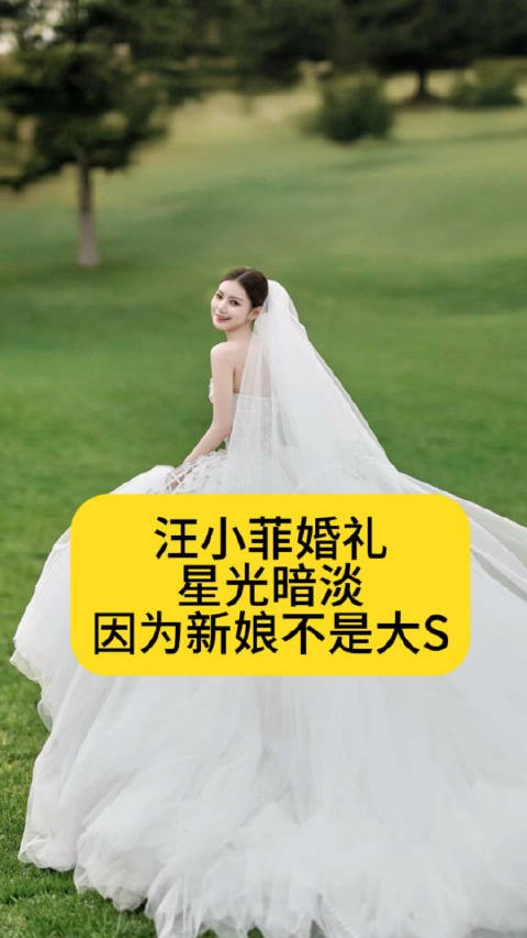 汪小菲婚礼星光暗淡，因为新娘不是大S作品二创