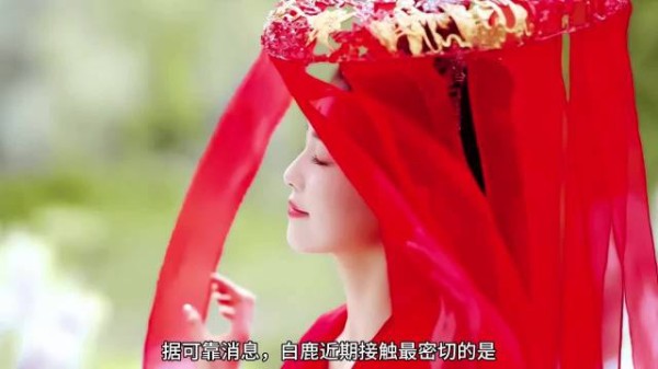 江边词韵，白鹿与李青月共吟，花如月相伴，诗意绵长
