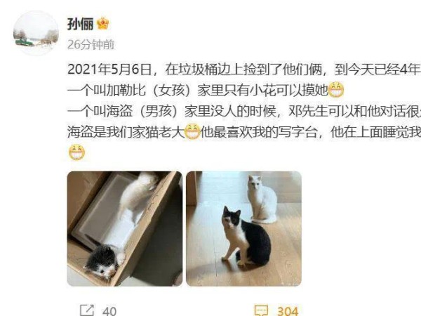 孙俪晒收养4年2只流浪猫，称邓超能和它对话很久，猫名字绝了