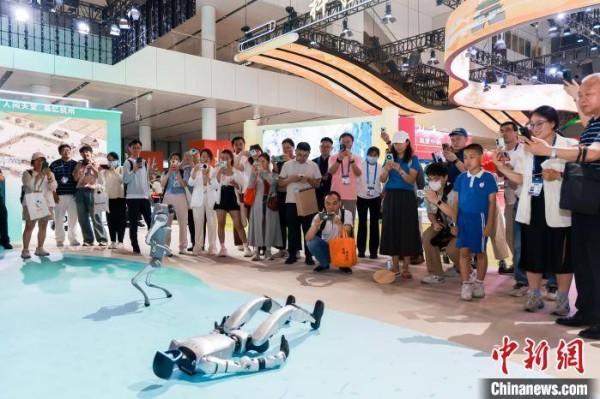 文化观察：除了“杭州六小龙” 浙江数字文化还有什么？