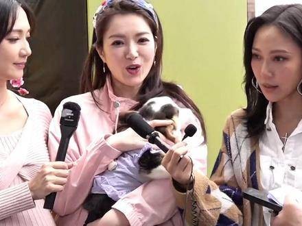 TVB前女星苟芸慧宣告离婚,笑容满面地表示:“我现在非常自由”