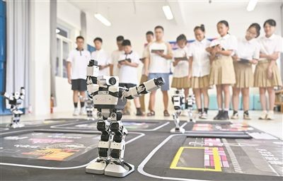 培养AI技能“童子功”，中小学要这样做