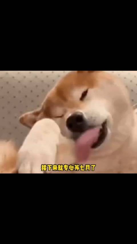 终于等到！许光汉7月正式退伍回归！