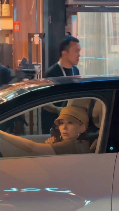 王琳驾车载王子文现身上海街头
