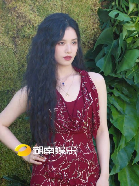 张婧仪亮相vogue红毯获赞公主