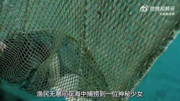男人意外捕获一条美人鱼，将她带回家中照料，发生一段美妙故事！