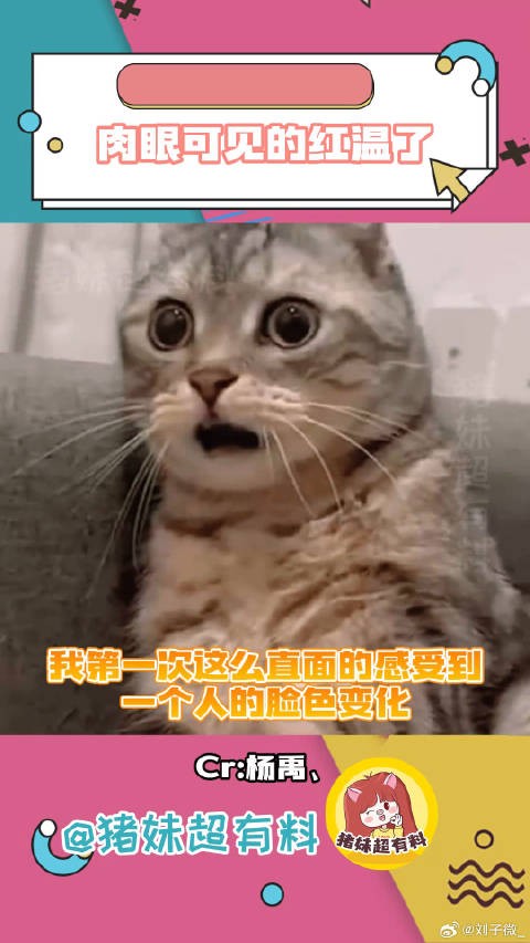 真的肉眼可见的红温了!谁想的这个游戏玩法!拿我男朋友试试!