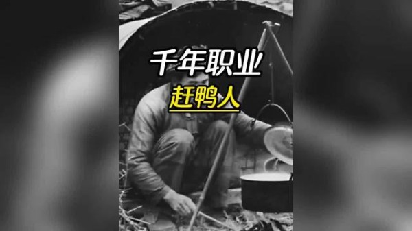 一种几乎消失的职业，赶鸭人
