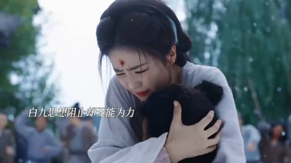 阿月法力被封印无法救十安，白九思斩断其元神
