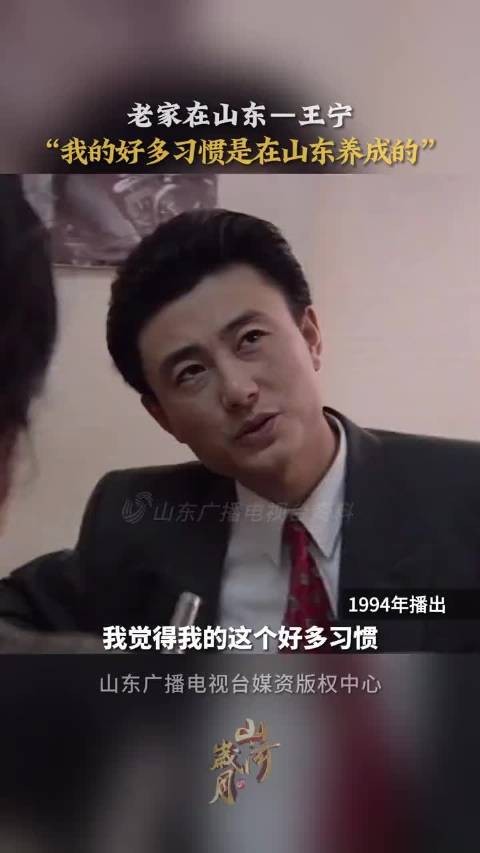 央视主持人王宁啊！天呐！年轻时帅爆了