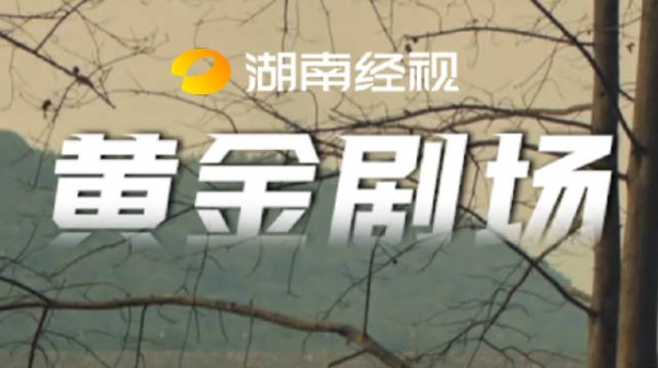 发报机险暴露,陈卫身份惹怀疑