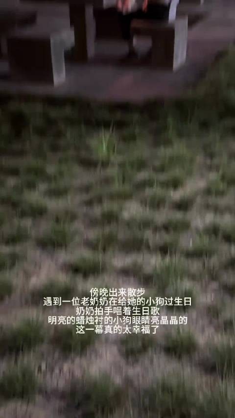 一位在给自己小狗过生日的老奶奶 幸福，治愈