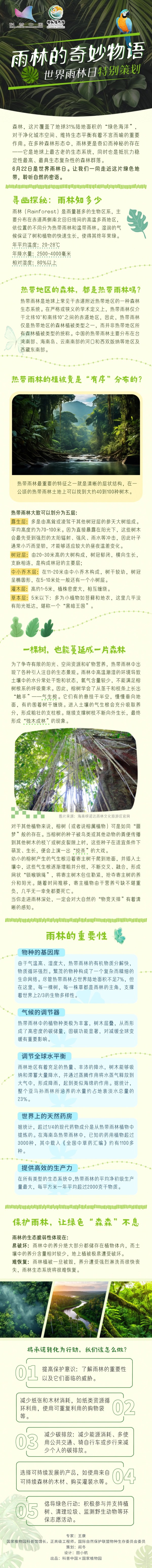 世界雨林日特别策划丨雨林的奇妙物语