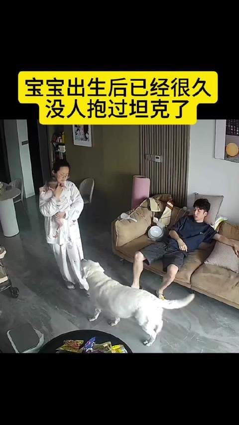 想一碗水端平的，结果端翻了
