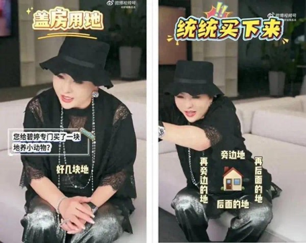 向太给郭碧婷买了“好几块地”，她俩之间，郭碧婷段位更高