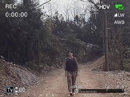 阿瓒冉冉平行世界重逢,白色橄榄树见证幸福