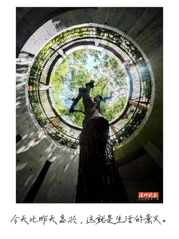 夜色圳好 | 蔡澜语录：今天比昨天高兴，这就是生活的意义