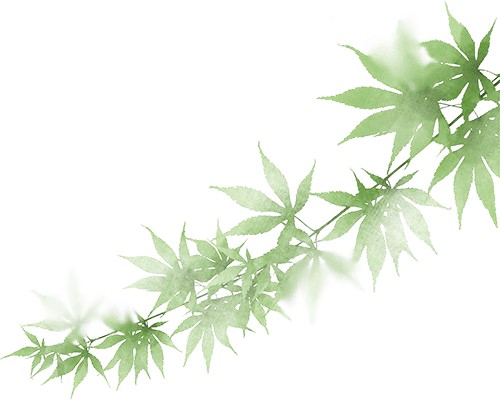 【悦读活动】内蒙古自治区图书馆成功举办茅盾文学奖获奖作品《北上》分享会