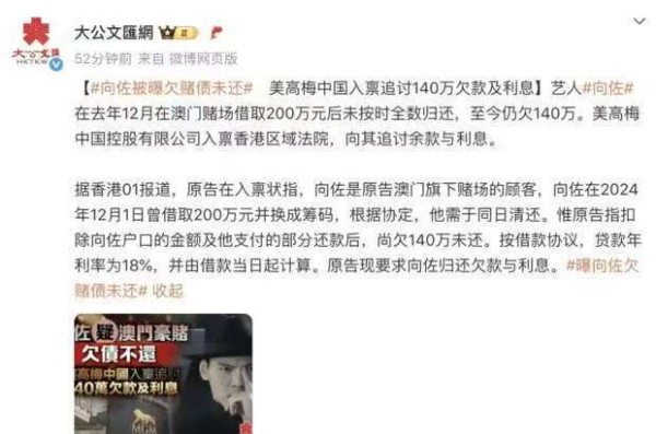 向佐陷赌债风波：140万港元未还，名下公司停摆