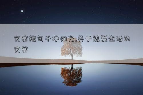 文案短句干净阳光,关于热爱<a target=