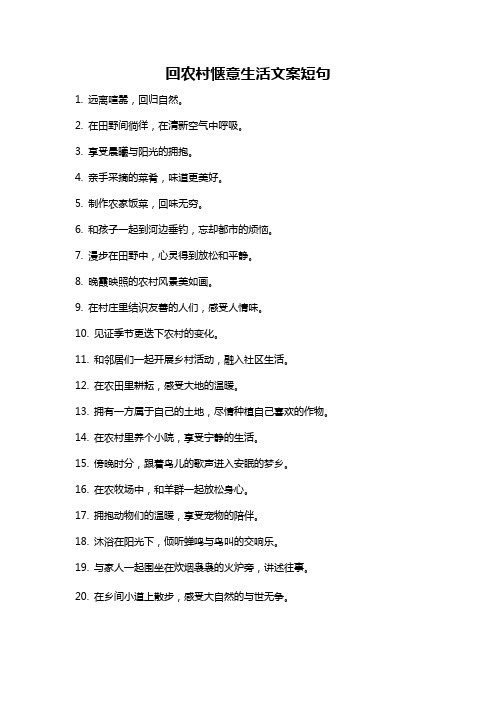回农村惬意<a target=