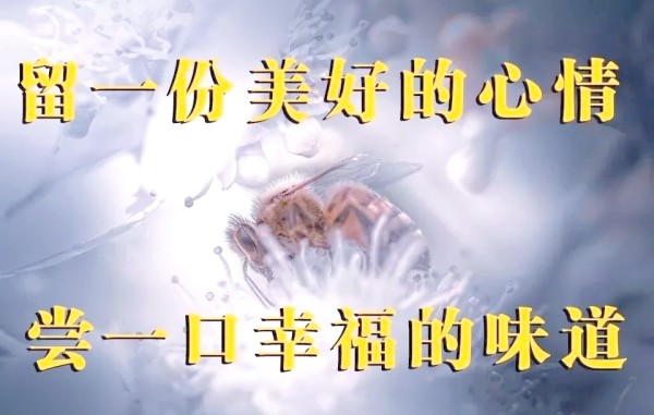心情愉悦的文案短句，展现简单快乐的生活态度