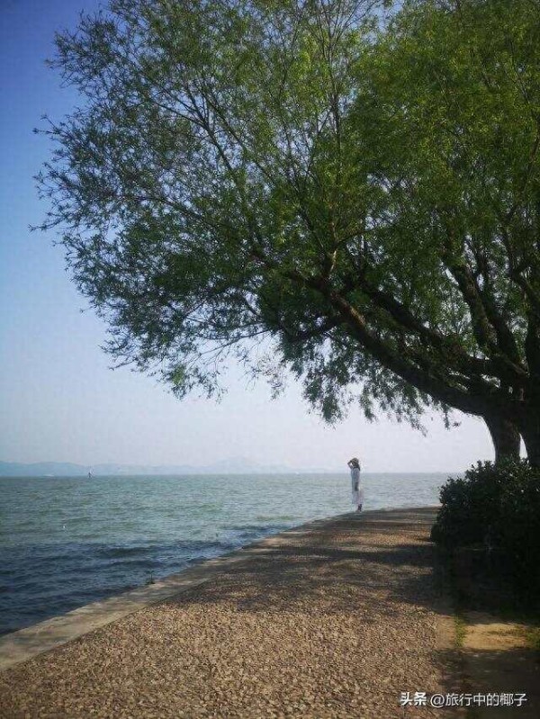 实现了50岁退休的我，余生的愿望清单如下：