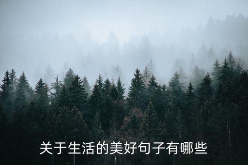 关于<a target=