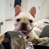 LiLi
