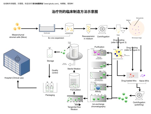治疗剂临床制造方法