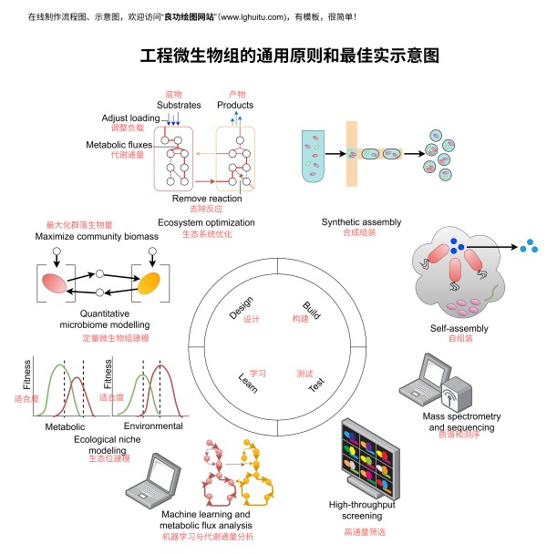 工程微生物组通用原则