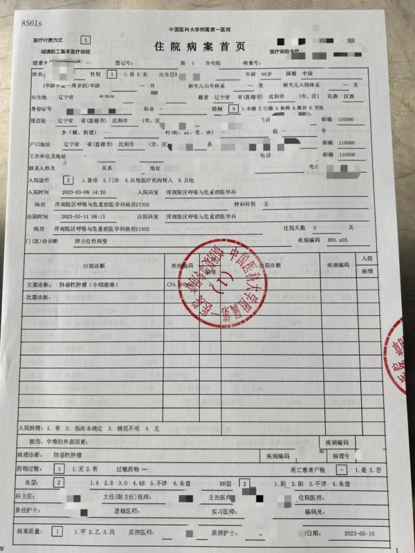 秋日客厅一角：温馨治愈的家居布置指南